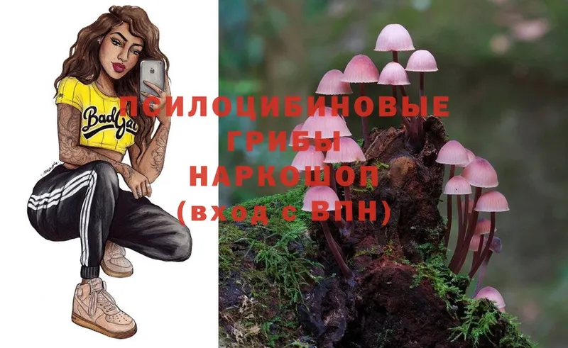 Галлюциногенные грибы Magic Shrooms  где продают наркотики  Каменск-Уральский 